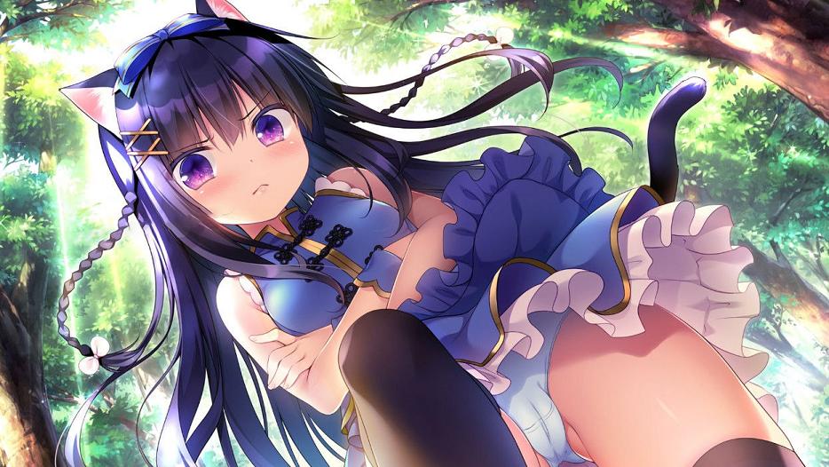 [日式ADV/中文]无人岛日记 ISLAND DIARY 官方中文版+全CG存档[新作/全CV/3G] TC辅助网www.tcsq1.com4583