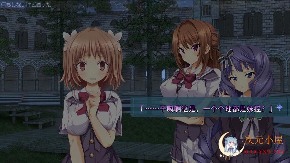 [大型ADV/汉化]重生游戏-REALIVE-精翻汉化硬盘版+全CG存档 [天之圣杯][佳作/4.9G] TC辅助网www.tcsq1.com6009