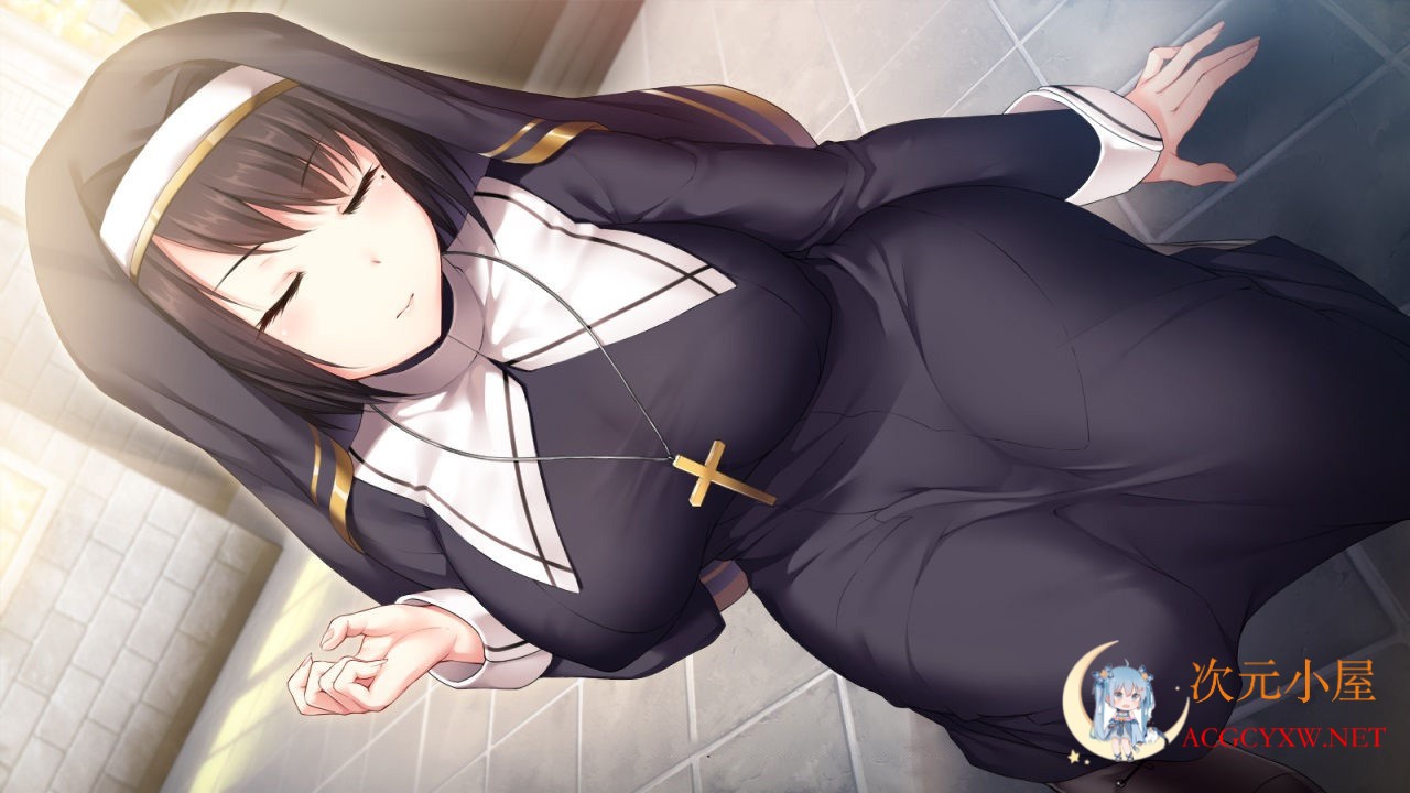 [RPG/中文]公主才不会认输呢~银乱国家冒险传 官方中文步兵版+存档[PC+安卓/3.5G] TC辅助网www.tcsq1.com6666